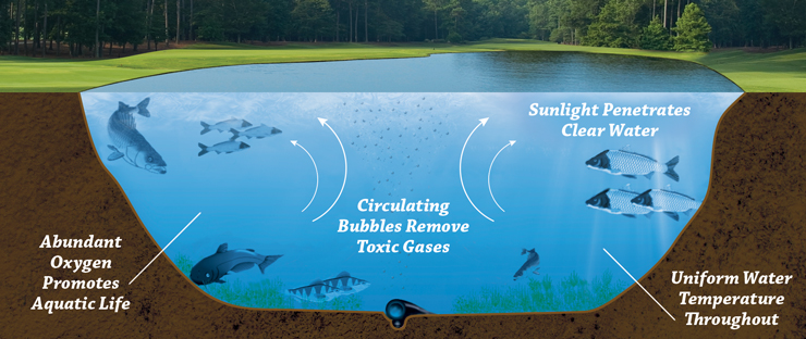 Eco-Logic Pond and Lake Ozone Aeration Promotes a Positive Ecological Balance in Water