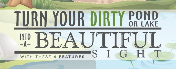 Turn your dirty pond into a beautiful sight with these 4 features