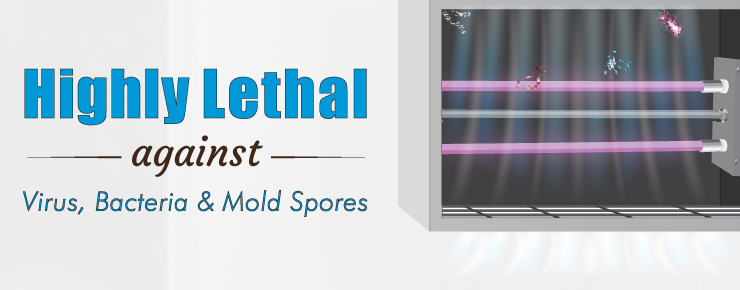 Highly Lethal against Virus, Bacteria & Mold Spores