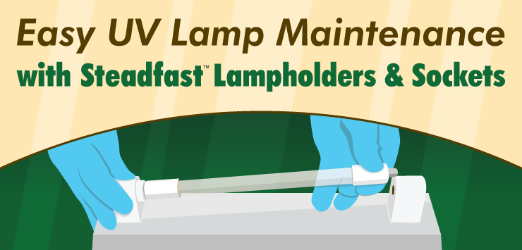 Easy UV Lamp Maintenance with Steadfast Lampholders and Sockets