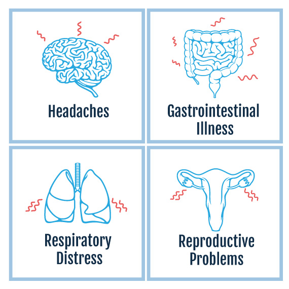 Health Concerns Include: Headache, Gastro-intestinal Illness, Respiratory Distress, and Reproductive Problems