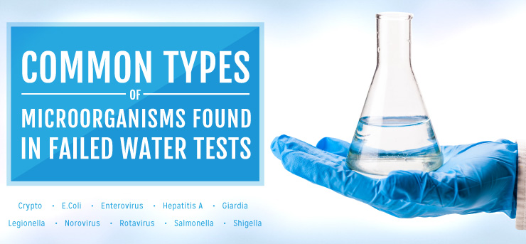 Common Types of Microorganisms Found in Failed Water Tests