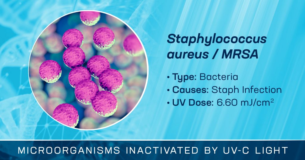 Staphylococcus Aureus / MRSA is Inactivated by UV-C Light
