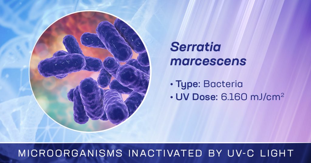 Serratia Marcescens is Inactivated by UV-C Light